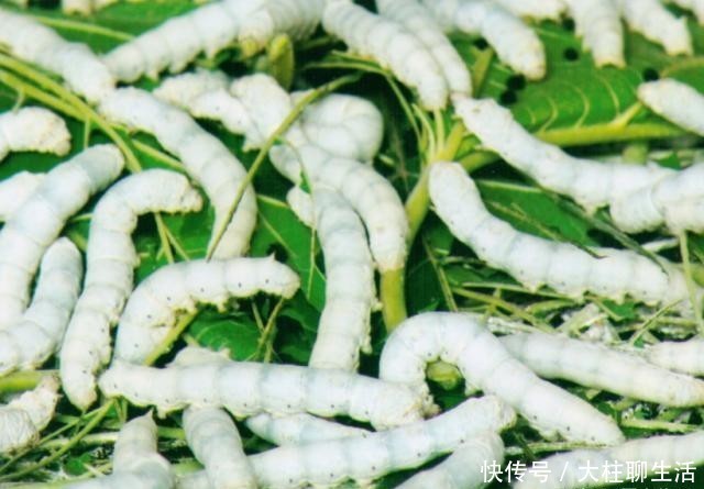 涌现出“妈妈班组”就业技能培训、“向阳职场规划坊”应试就业指导等典型案例15个
