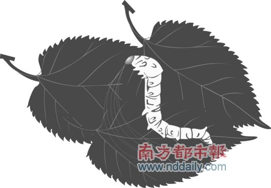 县、乡、村及农户的现实状况怎样？他们的需求是什么？尚未有案例报道