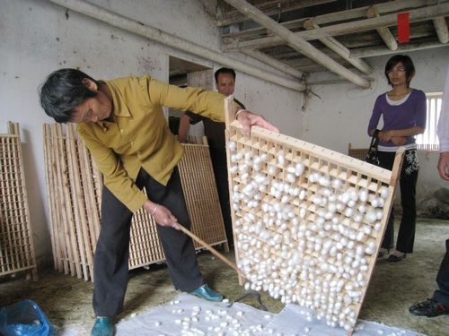 从蚕桑产业园的机器轰鸣到博士村的耕读传香