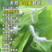 陇南市科学技术局、陇南市教育局、陇南市科学