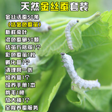 陇南市科学技术局、陇南市教育局、陇南市科学技术协会共同举办了2022年陇南市科普讲解大赛