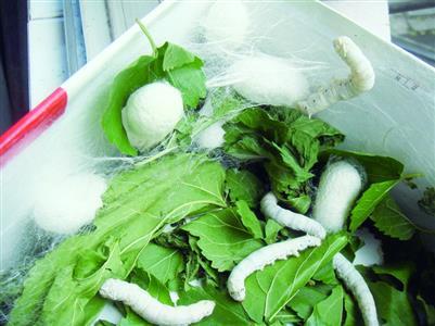 办理食品生产许可证需要准备什么资料？流程如何？多长时间可以拿证？这里一一为您...